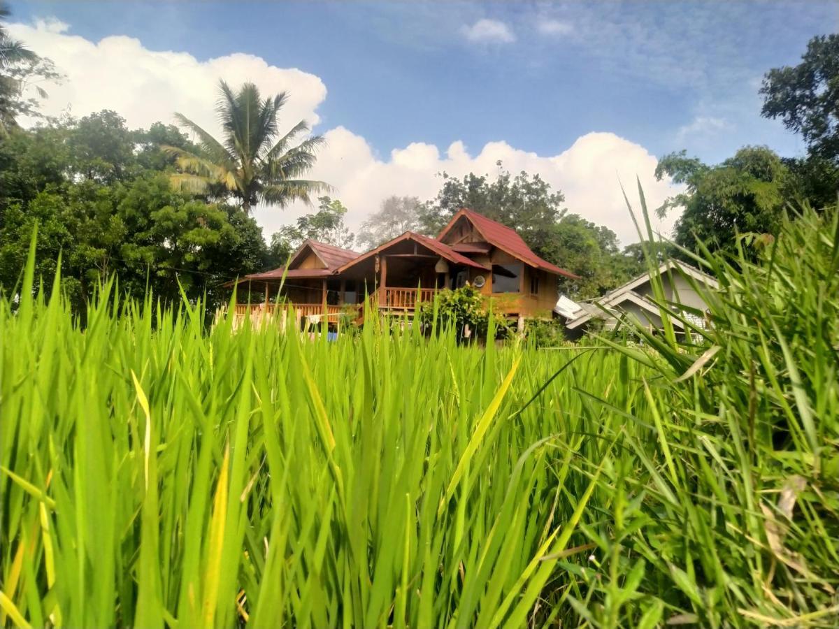 Jonny'S Places Tetebatu Bagian luar foto