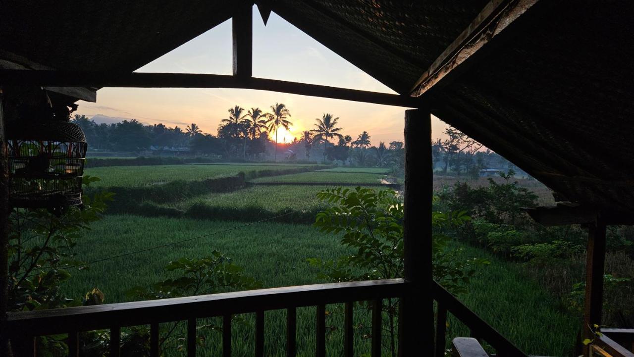 Jonny'S Places Tetebatu Bagian luar foto