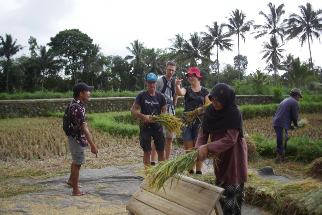 Jonny'S Places Tetebatu Bagian luar foto