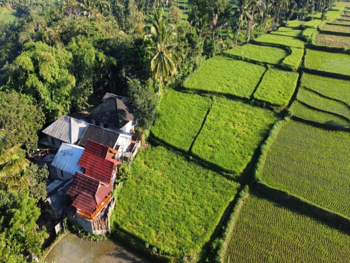 Jonny'S Places Tetebatu Bagian luar foto