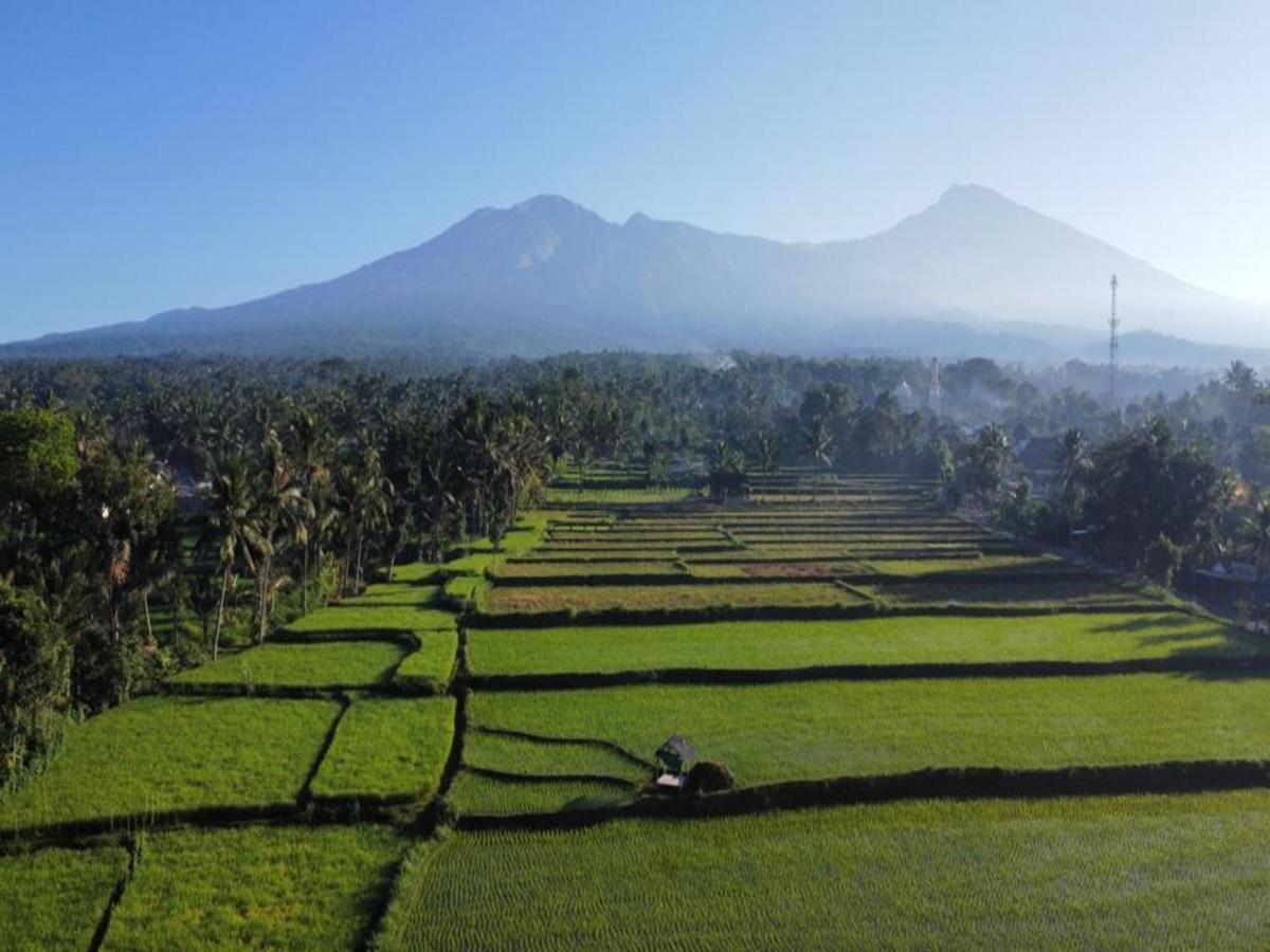 Jonny'S Places Tetebatu Bagian luar foto