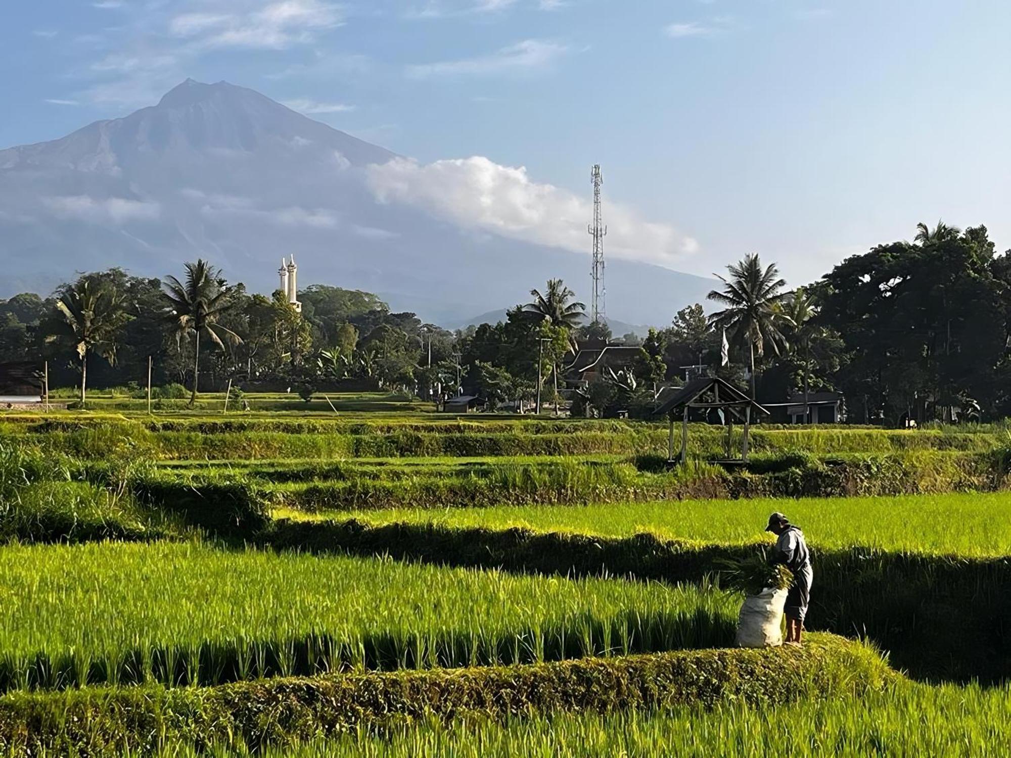 Jonny'S Places Tetebatu Bagian luar foto