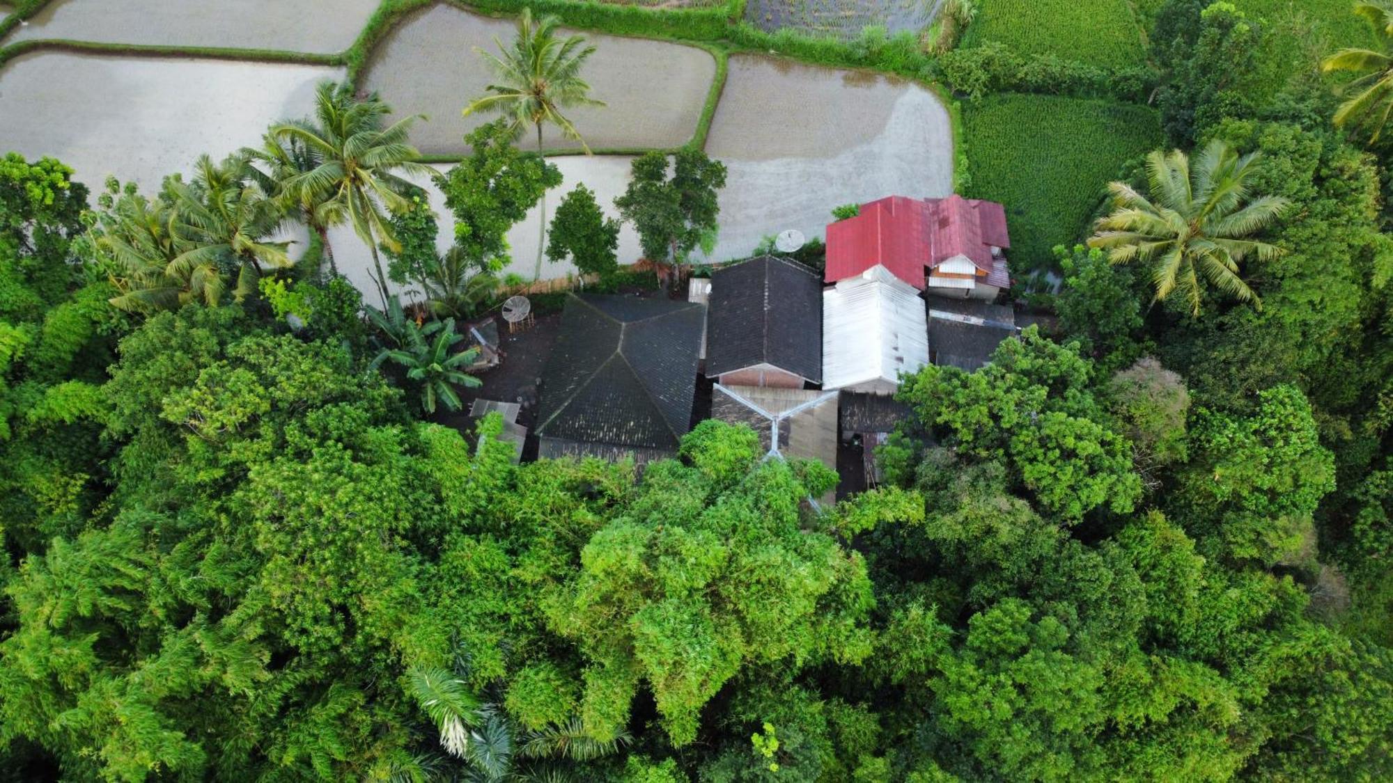 Jonny'S Places Tetebatu Bagian luar foto